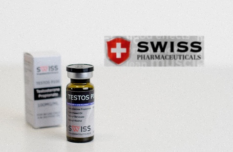 Achat Testo P en ligne pas cher