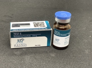 Ampoule Test E